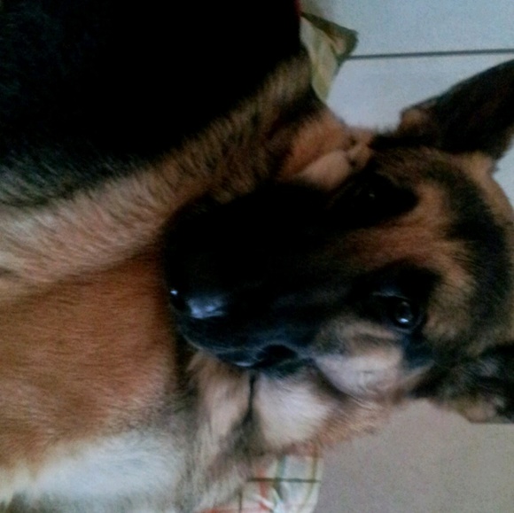 lillyruiz2011